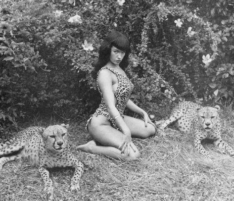 Kitties Bettie Page Photos, Idol Worship, Pin Up Photos, Jet Black Hair, Bettie Page, Norma Jeane, Vintage Pin Up, Up Girl, Vintage Beauty