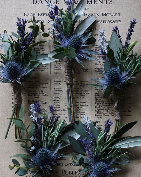 Thistle Wedding Flowers, Thistle Buttonhole, Wedding Bouquets Ideas, Thistle Bouquet, Winter Bridal Bouquets, Lilac Wedding Bouquet, Thistle Wedding, Bouquets Ideas, Nordic Wedding