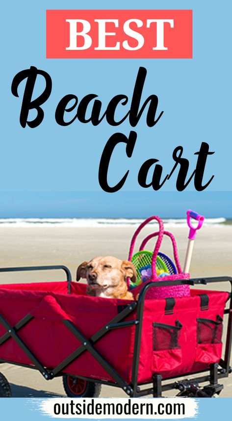 Beach Cart, Small Fry, Camping Stuff, Beach Umbrella, Beach Travel, Beach Chairs, Fun Food, Beach Aesthetic, Beach Fun