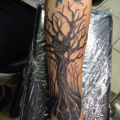 Dead Tree Poison Tree Sleeve Tattoo, Poison Tree Tattoo Forearm, Poison Tree Tattoo Sleeve, Position Tree Tattoo, Poison Tree Tat, Poison Tree Drawing, Leafless Tree Tattoo, Skull Tree Tattoo, Poison Tree Tattoo