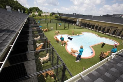 Dog Boarding Ideas, Dog Boarding Facility, Dog Boarding Kennels, Dog Kennel Designs, Kennel Ideas, Dog Hotel, Pet Resort, Pet Paradise, Pet Hotel