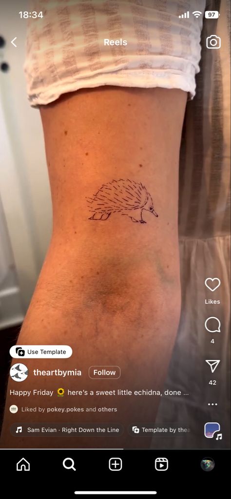 Echidna Tattoo, Stick And Poke, Tattoo Small, Small Tattoos, Tattoo Ideas, Tattoos, Quick Saves, Art