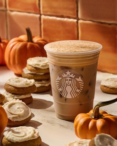 Starbucks Calories, Pumpkin Pie Latte, Pumpkin Chai Tea, Starbucks Fall Drinks, Starbucks Pumpkin Spice Latte, Starbucks Pumpkin Spice, Pumpkin Cream Cheese Muffins, Toffee Nut, Fall Menu