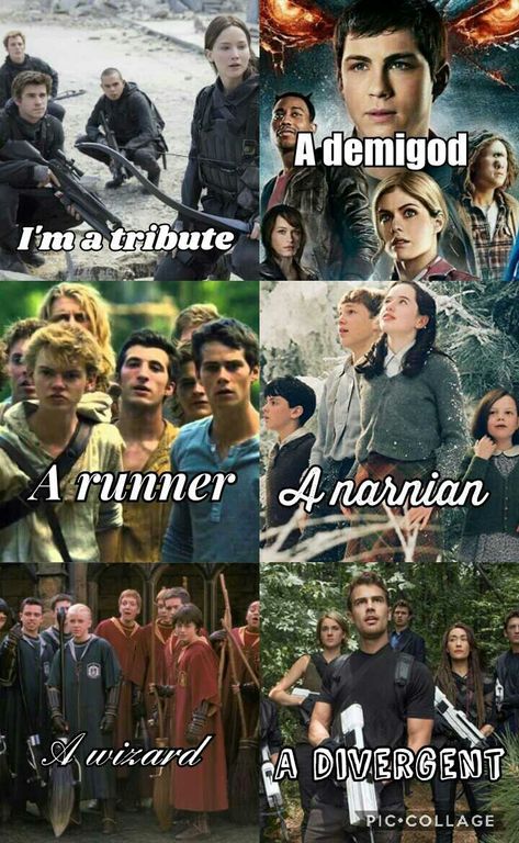 Maze Runner X Harry Potter, Narnia Harry Potter, Harry Potter Percy Jackson Hunger Games, Maze Runner Facts, Dystopian Films, Book Fandoms Unite, Fandom Quotes, Nerd Problems, Book Nerd Problems