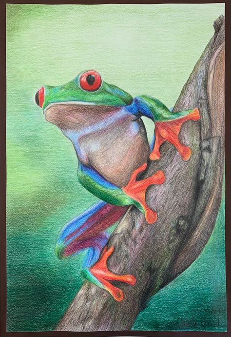 Frog Sitting Drawing, Frog Drawing Realistic, Pencil Colours Art Drawings, Tree Frog Painting, Scenery Drawing For Kids, Body Image Art, Pencil Drawings Of Animals, Gcse Art Sketchbook, Frog Pictures