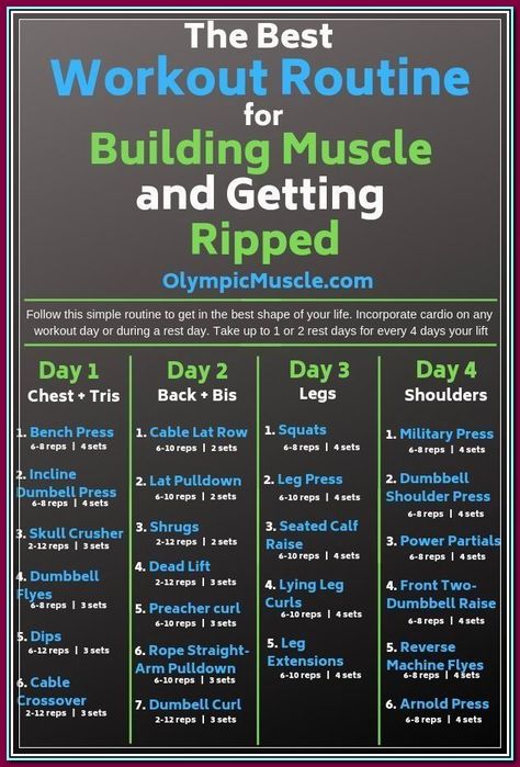 Starting Workout, 4 Day Workout Routine, Weightlifting Program, Weightlifting Exercises, Gym Workout Schedule, 4 Day Workout, Split Workout, Ms Exercises, Fitness Studio Training