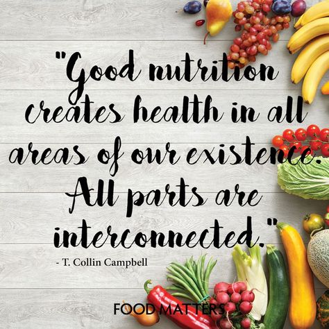 To the gut... to the brain... to the way you move... It's all interconnected.  www.foodmatters.com #foodmatters‬ Healthy Food Quotes, Nutrition Quotes, Healthy Quotes, Sport Nutrition, Food Matters, Good Nutrition, Juice Plus, Holistic Nutrition, Health Inspiration