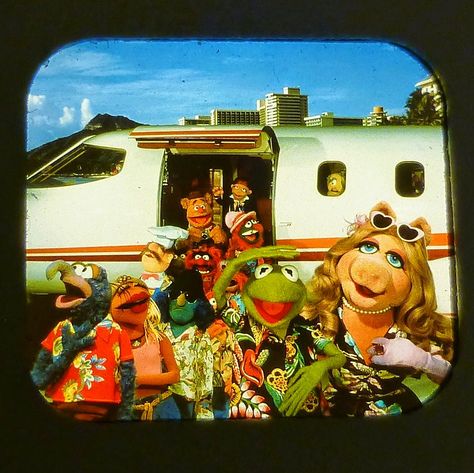 LANCE CARDINAL: "MUPPETS" VINTAGE VIEW-MASTER REELS Muppets Vintage, Fozzie Bear, Hama Beads Minecraft, Cool Minecraft Houses, Fraggle Rock, The Muppet Show, Muppet Babies, View Master, The Muppets