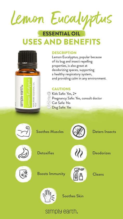 If you’ve ever walked through a lemon eucalyptus garden, you know that the scent is unmistakable. Now you can experience its fresh aroma inside your home with Lemon Eucalyptus Essential Oil. This fresh and invigorating oil has a pleasant aroma and provides an array of useful uses. Benefits Of Eucalyptus Essential Oil, Lemon Eucalyptus Oil Uses, Essential Oil Meanings, Eucalyptus Essential Oil Uses, Eucalyptus Oil Uses, Eucalyptus Garden, Essential Oils Dogs, Simply Earth, Essential Oil Education