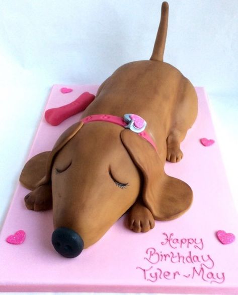 Who could resist this sleeping sausage dog! Sleepy comes on a 50cm x 35cm board and can be ordered in vanilla Genoese or Belgian chocolate cake and will give approximately 40 to 50 portions. Sausage Dog Cake Dachshund, Wiener Dog Cake, Sausage Dog Cake, Dog Cake Design, Belgian Chocolate Cake, Dachshund Cake, Dachshund Birthday, Hidden Agenda, Dog Birthday Cake