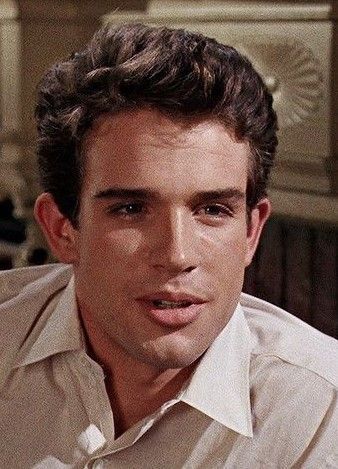 Warren Beatty 70s, Warren Beatty, Fictional Men, Hubba Hubba, White Boys, Classic Hollywood, Celebrities Male, Golden Age, Old Hollywood