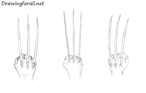 Wolverine Claws by Drawingforall http://www.drawingforall.net/how-to-draw-wolverine-claws/ Wolverine Claws Tattoo, Wolverine Drawing Easy, Wolverine Claws Art, Wolverine Reference, Claws Drawing, How To Draw Wolverine, Wolverine Drawing, Wolverine Sketch, Claw Tattoo