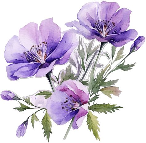 Purple Png, Transparent Watercolor, Flowers Purple, Flower Watercolor, Vector Flowers, Purple Watercolor, Image Editor, Baby Cards, Watercolor Clipart