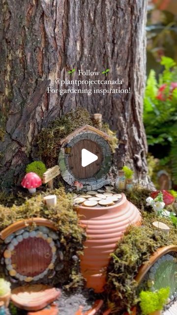 Shavonne Flegel on Instagram: "DIY Fairy Garden, for Hobbits. 👣🌿  Every year I build a fairy garden in memory of my niece Abigale. This year I was inspired to use our tree and make a fairy “shire.” 🌱  Gardens hold so many memories, and I always try to plant my garden with special hidden easter eggs in honour of the people we love. 🤍   Do you grow a memory garden? Comment down below and tell me if you do, what does yours look like?  Follow @plantprojectcanada for more Gardening inspiration, tips, & tricks, and Follow @onceuponabungalow for more Home & DIY!  #PlantProjectCanada #fairygarden #hobbit #hobbitcore #theshire #lordoftherings #hobbiton #lotr #thehobbit #fairy #faries #patioinspo #patio #patioinspiration #garden #gardening #backyard #gardeninspiration #plantsplantsplants #garden Shire Inspired Garden, Hobbit Fairy Garden, Shire Garden, Hobbit Garden, Memory Garden, Make A Fairy, Gardening Backyard, Diy Fairy Garden, Gardening Inspiration