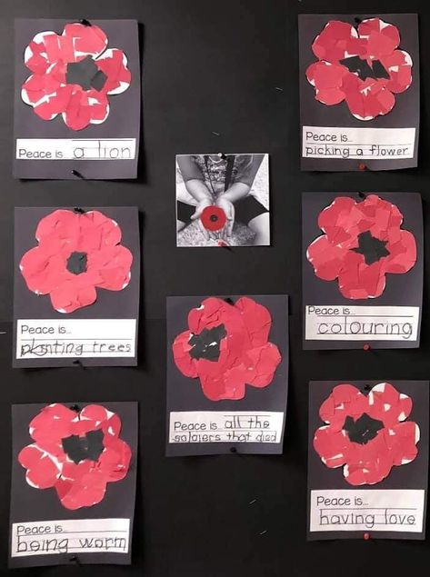 Remembrance Activities Eyfs, Preschool Poppy Craft, Rememberance Day Kindergarten, Easy Poppy Craft, Letter Provocations, Remembrance Day Crafts For Kindergarten, Kindergarten Remembrance Day Art, Remembrance Day Crafts For Preschoolers, Remembrance Day Preschool