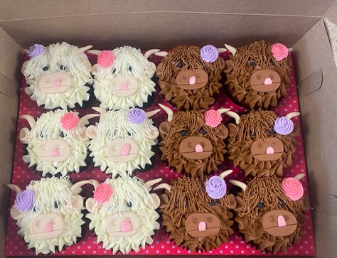 Shaggy Cow Cupcakes, Cow Cupcakes Ideas, Highland Cow Cupcakes, Cowgirl Cupcakes, Cow Cupcakes, Girl Birthday Cupcakes, Cow Birthday Parties, Decorating Icing, Pull Apart Cake