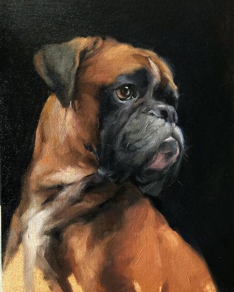 Jennifer Gennari, Pet Portraiture, Boxer Dogs Art, Dog Grooming Shop, Dog White, Best Dog Toys, Boxer (dog), Boxer Puppies, Best Dog Breeds