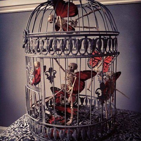 Butterfly skeletons in a cage. Halloween Decorations Ideas, Halloween Fest, Casual Halloween, Theme Halloween, Halloween 2020, Gothic Decor, Halloween Inspiration, Halloween Deco, Halloween Make