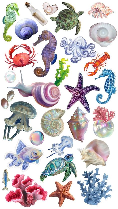 Sea animals, pearls, seaweed, shells Ocean Stickers Printable, Sea Stickers, Ocean Stickers, Body Type Drawing, Recycled Dress, Sea Wallpaper, Stickers Printable, Fun Easy Crafts, Ocean Creatures