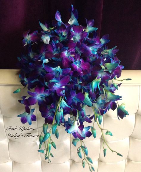 This bouquet is stunning - the Blue Bom Dendrobium Orchids are eye-catching and elegant. Shop Dendrobium Orchids (including Blue Bom!) year-round at GrowersBox.com! Blue Orchid Tattoo, Blue Orchid Wedding, Blue And Purple Orchids, Blue Dendrobium Orchids, Orchid Bouquet Wedding, Dendrobium Orchid, Orchid Tattoo, Orchid Bouquet, Dendrobium Orchids