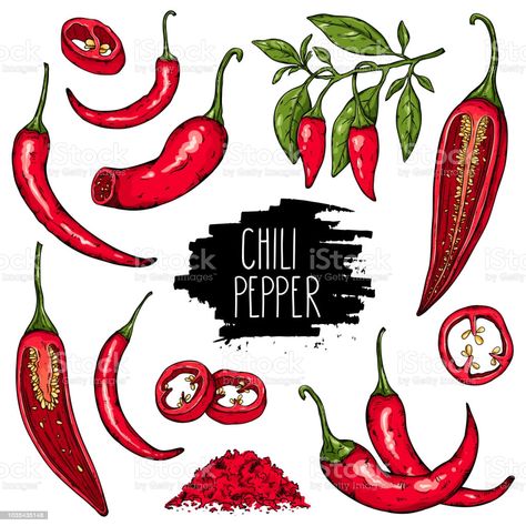 chile Chili Reano Recipe, Chile Drawings, Chile Tattoo Ideas, Chilli Tattoo, Chili Tattoo, Chili Pictures, Laos Culture, Natural Form Art, Calabrian Chili