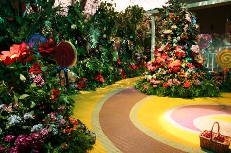 Wizard Of Oz Munchkin Land, Munchkin Land, Wizard Of Oz Musical, Rainbow Road, Bloom Where Youre Planted, Cowardly Lion, Land Of Oz, The Wonderful Wizard Of Oz, Photo Portfolio