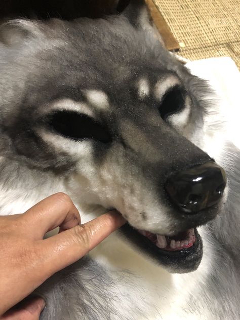 Husky Therian Mask, Wolf Therian Mask Ideas, Wolf Mask Ideas, Therian Mask Ideas Wolf, Realistic Wolf Mask, Therians Mask, Wolf Therian Mask, Wolf Masks, Therian Wolf