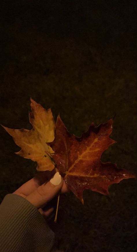 Leafs Aesthetic, Autumn Romance, Crunchy Leaves, Dark Academia Aesthetic, Aesthetic Dark, Academia Aesthetic, Autumn Cozy, Autumn Aesthetic, Fall Leaves