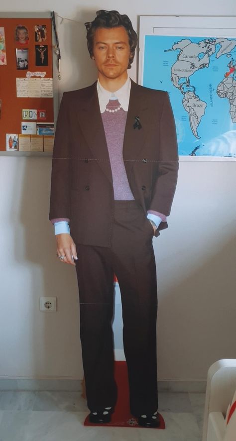 Harry Styles Cardboard Cutout, Manifesting 2023, Harry Style, Cardboard Cutouts, Cardboard Cutout, Birthday Board, Grad Party, Grad Parties, Harry Styles