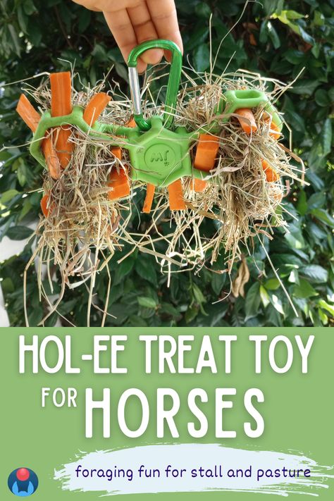 A horse treat toy enrichment item shaped like a dogbone made of soft green plastic. The dogbone hol-ee toy by JW Pet is full of hay and carrot sticks and is attached to a green clip. Text below reads: Hol-ee Treat Toy for Horses: Foraging Fun for Stall and Pasture. Blue Enriching Equines logo in lower left. Stable Enrichment, Equine Enrichment, Horse Enrichment, Diy Horse Toys, Toys For Horses, Animal Enrichment, Natural Eating, Horse Toys, Horse Lessons