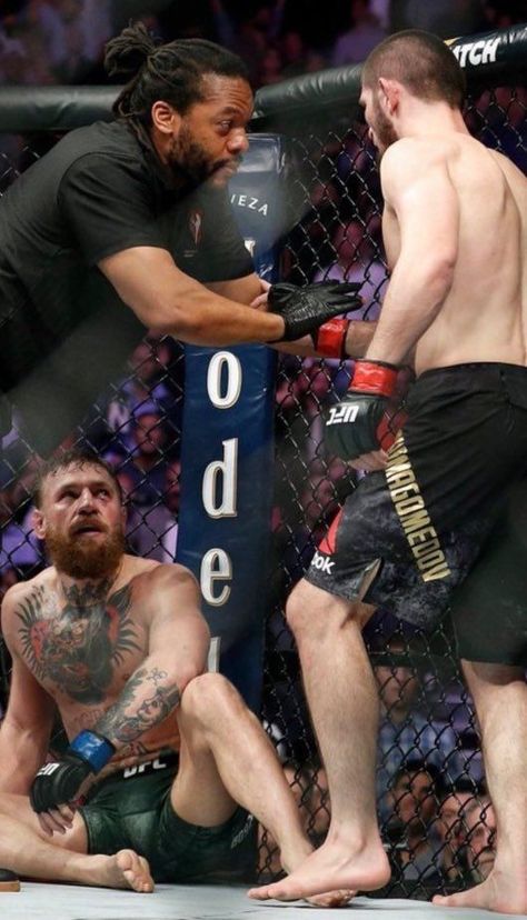 Khabib Nurmagomedov Wallpaper Art, Khabib Nurmagomedov Wallpaper, Ufc Wallpapers, Ufc Wallpaper, Jones Ufc, Ufc Conor Mcgregor, Guerriero Samurai, Mma Workout, Ufc Boxing