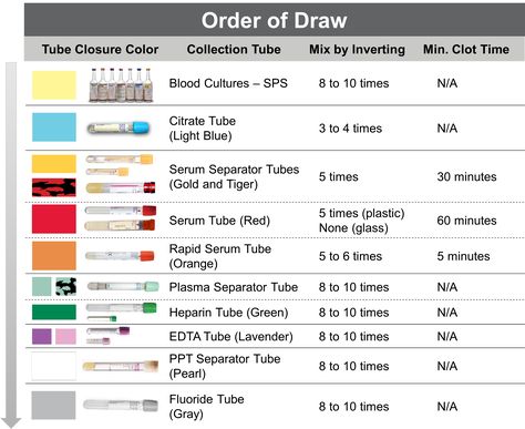 Order of Draw Phlebotomy Notes, Phlebotomy Study, Order Of Draw, Lab Assistant, Medical Assisting, Medical Assistant Student, Vet Medicine, Medical Laboratory Science, Biomedical Science