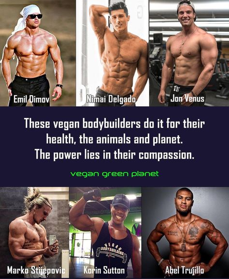 Beautiful, beautiful men. And vegan. My Lord. Vegan Reasons, Vegan Celebrities, Vegan Bodybuilder, Vegan People, Reasons To Be Vegan, Famous Vegans, Vegan Gains, Vegan Muscle, Vegan Facts