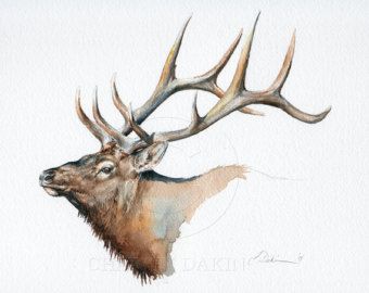 watercolor painting of elk | Elk Head Study, 8 x 10" - Or iginal bull elk watercolor study. Fits ... Aquarel Art, Elk Drawing, Animal Drawing Inspiration, Head Drawings, Elk Art, Jordan Tattoo, Elk Silhouette, Elk Head, Deer Artwork