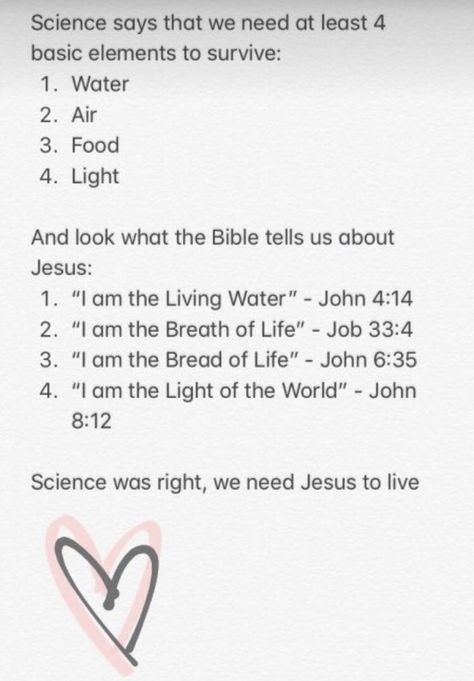 Bible Study John, Job 33, Bible John, John 8 12, Bible Study Plans, Bible Study Lessons, Book Annotation, Bible Motivation, John 4