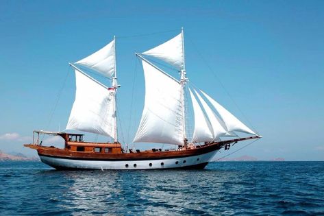 Yacht Decor, Yacht Aesthetic, Liveaboard Boats, Fishing Yachts, Best Yachts, Beach Coffee, Komodo National Park, Raja Ampat, Used Boat For Sale