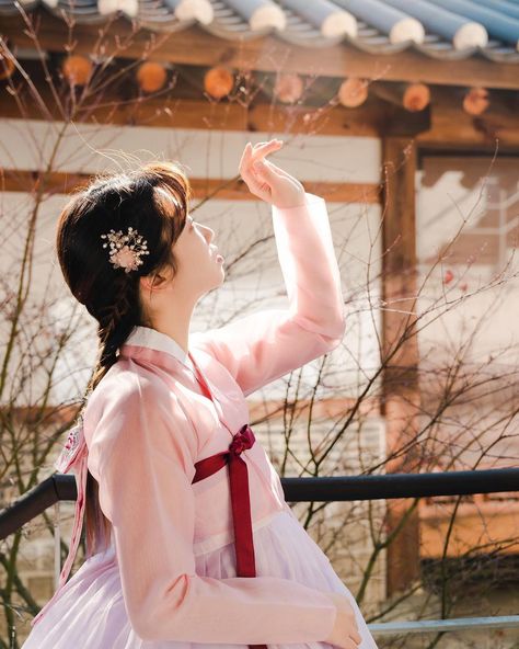 Pink Hanbok, Hanbok Aesthetic, Asian Photography, Korean Traditional Clothing, Dream Note, Korean Traditional Dress, Korean Hair, 사진 촬영 포즈, Korean Fashion Dress