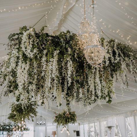 ✨ There’s something magical about a tented wedding, isn’t there? Under these hanging wisteria and surrounded by love – it's a dream come true. 🌟💍 #IDoDetails  #LoveInTheDetails #WeddingVibes  #WeddingInspo Wisteria Canopy Wedding, Overhead Wedding Decor, White Hanging Flowers Wedding, Hanging Wedding Florals, Wisteria Hanging From Ceiling, Hanging Wisteria Wedding, White Hanging Flowers, Wedding Hanging Flowers, Spanish Backyard