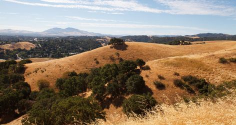 14 Best Things to Do in Martinez, California Martinez California, California Zephyr, Contra Costa County, Family Weekend, East Bay, John Muir, San Francisco Bay, San Francisco Bay Area, Romantic Getaways