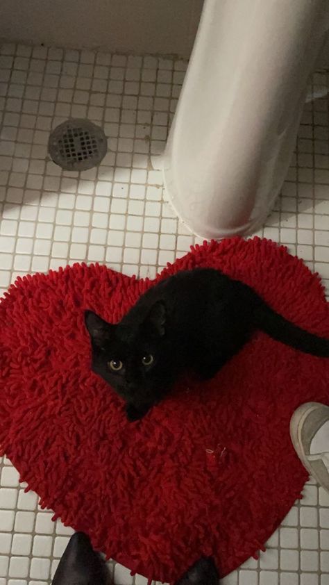 Red And Black Heart Aesthetic, Red Asthetics Cat, Black And Red Aesthetic Wallpaper Ipad, Black White And Red Bathroom, Dark Cats Aesthetic, Red Rug Aesthetic, Dark Red Black Aesthetic, Red Black Aesthetic Soft, White Red Black Aesthetic