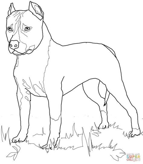 Pit Bull Drawing, American Staffordshire Bull Terrier, Pitbull Drawing, Bull Terrier Tattoo, Bull Terrier Art, Staffy Dog, Dog Coloring Book, Pitbull Art, Coloring Page Free Printable