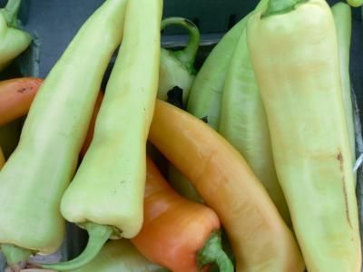 How to Prepare Hungarian Wax Peppers Hungarian Wax Peppers, Wax Peppers, Hot Peppers Plants, Hot Pepper Recipes, Jalapeño Peppers, Nutrition Website, Long Pepper, Stuffed Banana Peppers, Peppers Recipes