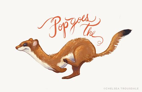 by Chelsea Trousdale Illustration. Pop goes the Weasel. Mink Illustration, Weasel Character Design, Weasel Illustration, Weasel Drawing, Weasel Art, Ferret Art, Figure Drawing Practice, Free Cartoon Characters, Pop Goes The Weasel