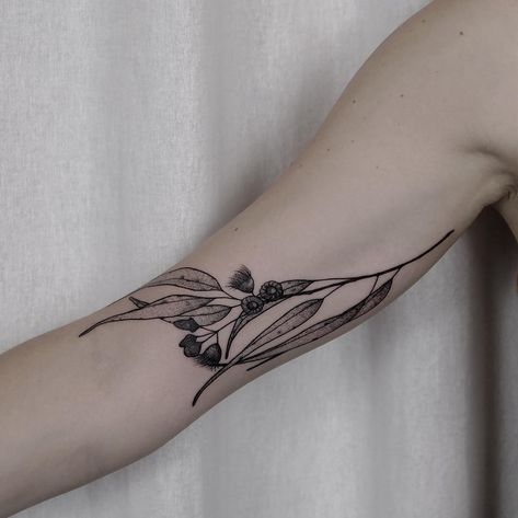 Tania Vaiana gum leaves Tattoo Planting Tattoo, Australia Tattoo, Leaves Tattoo, Cherub Tattoo, Gum Leaves, Leaf Tattoo, Native Tattoos, Wildflower Tattoo, Plant Tattoo