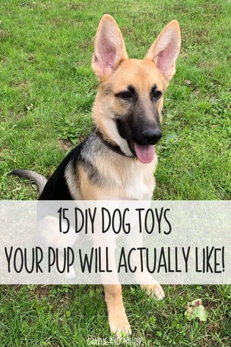 15 DIY Dog Toys Your Pup Will Actually Like German Shepherd Toys, Puppy Diy, Diy Dog Toys, Best Dog Toys, Toys Diy, Dog Ideas, Fun Dog, 15 Diy, Diy Dog