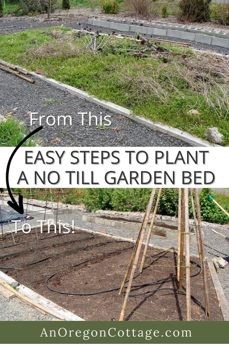 Dig Gardens, Garden Rake, Extra Work, Toil And Trouble, Garden Veggies, Low Maintenance Garden, Sustainable Garden, Soil Improvement, Deck Garden