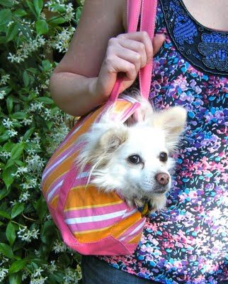 Easy dog tote made from an old tote bag. Very simple. I'm gonna make it! Diy Dog Carrier, Pet Carrier Diy, Diy Dog Bag, Cat Costume Diy, Small Pet Carrier, Dog Travel Accessories, Small Dog Carrier, Upcycled Tote, Dog Carrier Sling