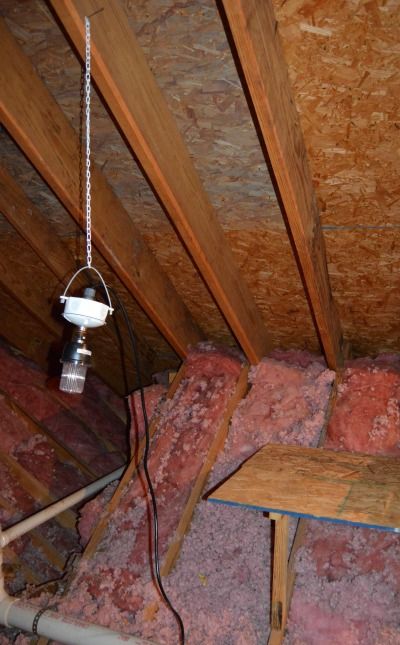 Get Rid Of Squirrels In Attic, How To Get Rid Of Squirrels In The Attic, Squirrel Deterrent, Fridge Hacks, Alaskan Cabin, Squirrel Repellant, Project Checklist, Get Rid Of Squirrels, Get Rid Of Flies