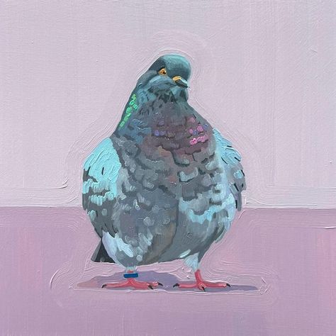 Leah Gardner, Pigeon Painting, Pigeon Drawing, Pigeon Illustration, Pigeon Art, Art Alevel, Bullet Journal Art, Art Inspiration Painting, Traditional Paintings