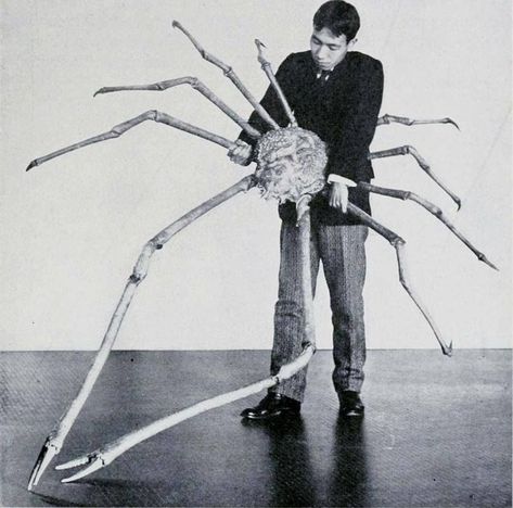 Bananas Recipes, Giant Crab, Spider Crab, Ice Land, Parents Quotes, Saltwater Crocodile, Italian Sculptors, Rare Historical Photos, Historical Objects